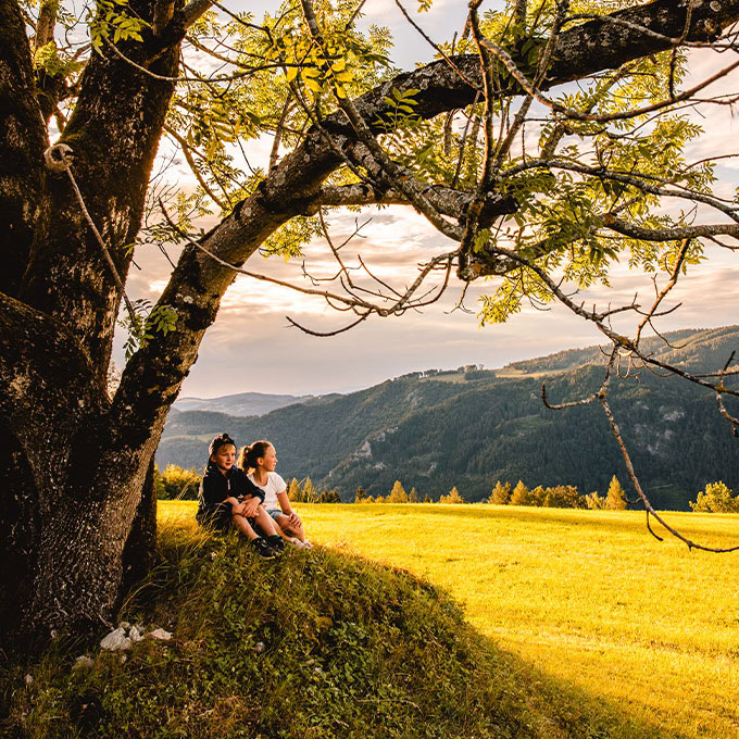 Kinder in der Natur im Sommer